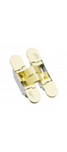 HCS 110*62*27/21 SGold