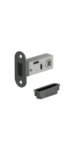 LM-1 SGraphite